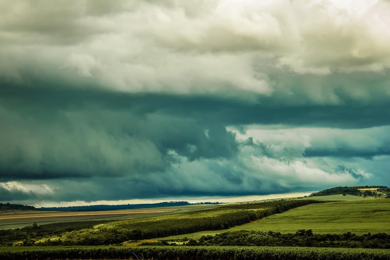 Temporal Guardianship